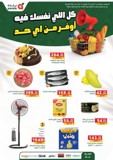 Special Offer