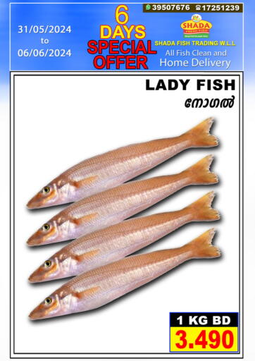 Bahrain Shada Fish offers in D4D Online. 6 Days Special Offer. . Till 06th June