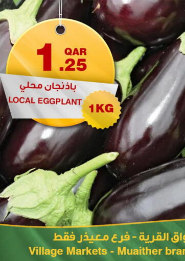 Qatar - Doha Village Markets  offers in D4D Online. Special Offer @ Muaither. . Till 4th March