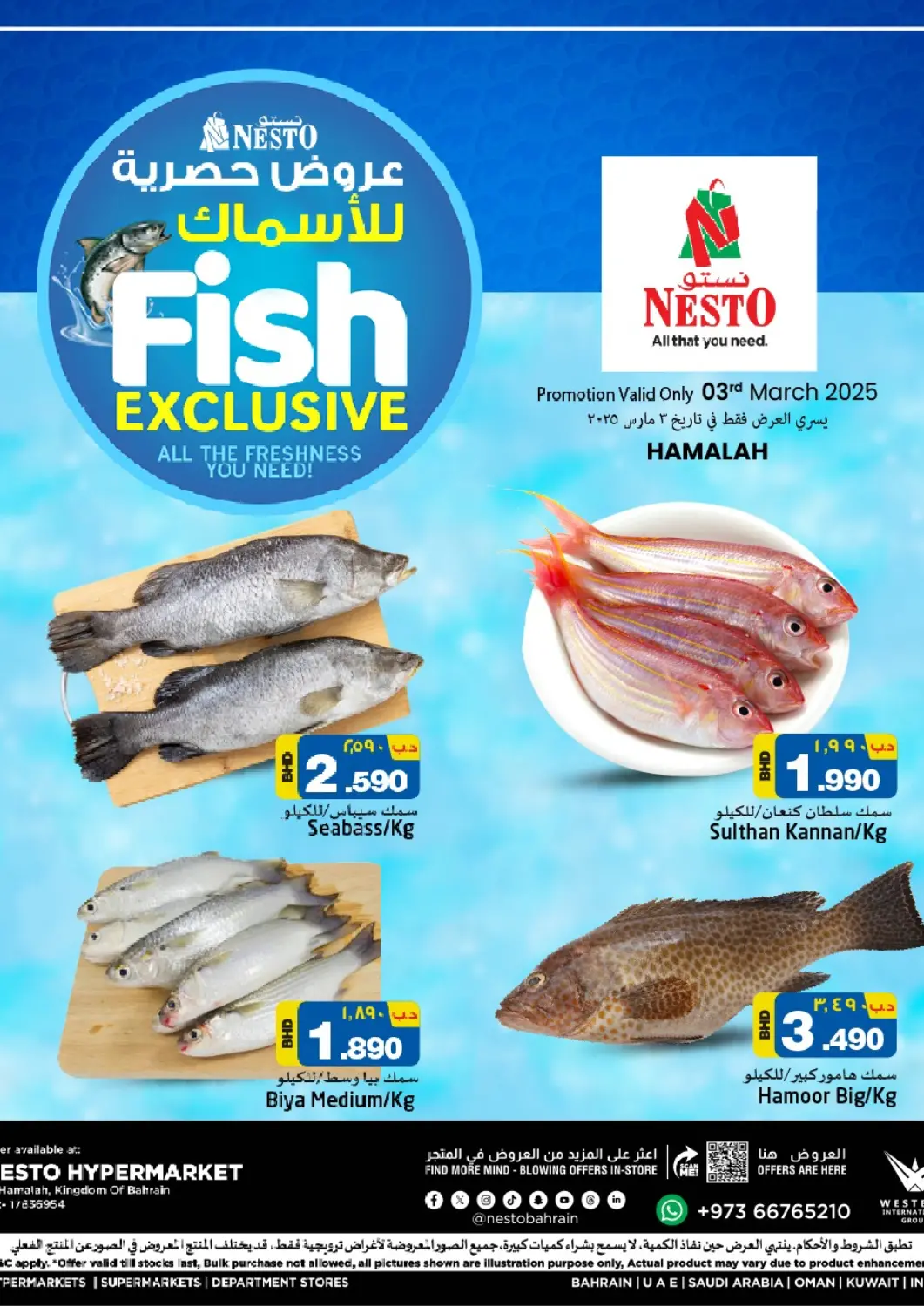 Bahrain NESTO  offers in D4D Online. Fish Exclusive @Hamalah. . Only On 3rd March
