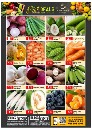 UAE - Dubai BIGmart offers in D4D Online. Bada Zayed, Sanya-Abu Dhabi. . Till 26th March