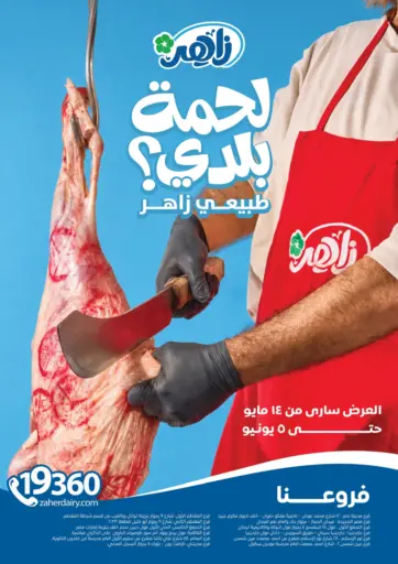 Special Offer