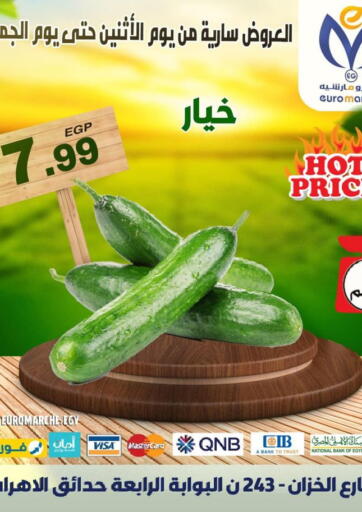 Egypt - Cairo Euromarche offers in D4D Online. Special Offer. . Until Stock Lasts