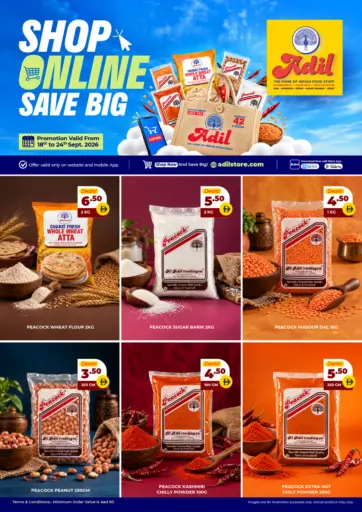 Shop Online Save Big