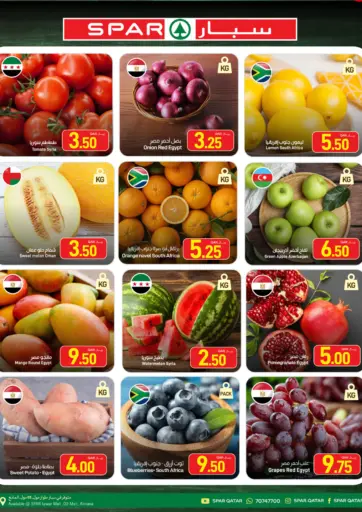 Fresh Offers