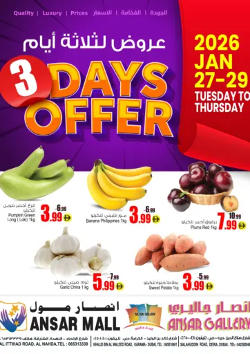 3 Days Offer