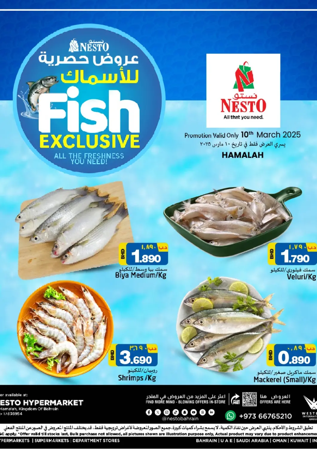 Bahrain NESTO  offers in D4D Online. Fish Exclusive @Hamalah. . Only On 10th March