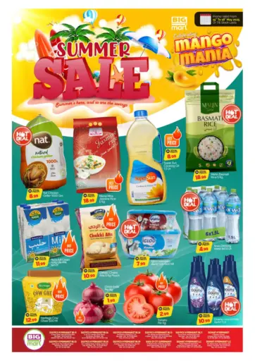 BIGmart - Summer Sale in UAE Offers - United Arab Emirates Summer Sale