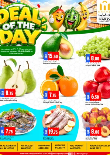 Deal Of The Day