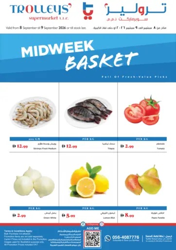 Midweek Basket