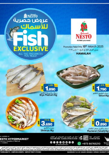 عروض نستو البحرين في دي٤دي أونلاين. عروض حصرية للاسماك @ الهملة. . Only On 10th March