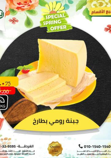 Egypt - Cairo Al Habib Market offers in D4D Online. Special Spring Offer. . Until Stock Last
