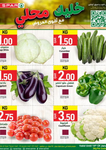 Qatar - Al Rayyan SPAR offers in D4D Online. Special Offer. . Till 17th January