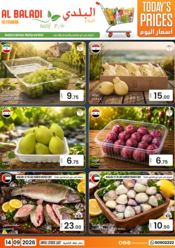 Today's Prices