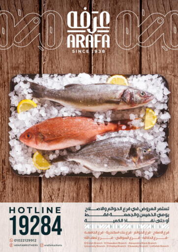 Egypt - Cairo Arafa Market offers in D4D Online. Fish Deals. . Till 27th January
