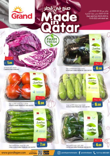 Qatar - Al Wakra Grand Hypermarket offers in D4D Online. Made In Qatar. . Till 15th March