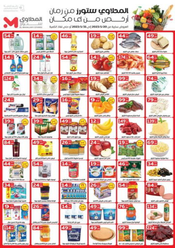 Egypt - Cairo El Mahlawy Stores offers in D4D Online. Special Offer. . Till 31st January