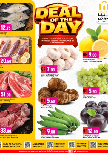 DEAL OF THE DAY