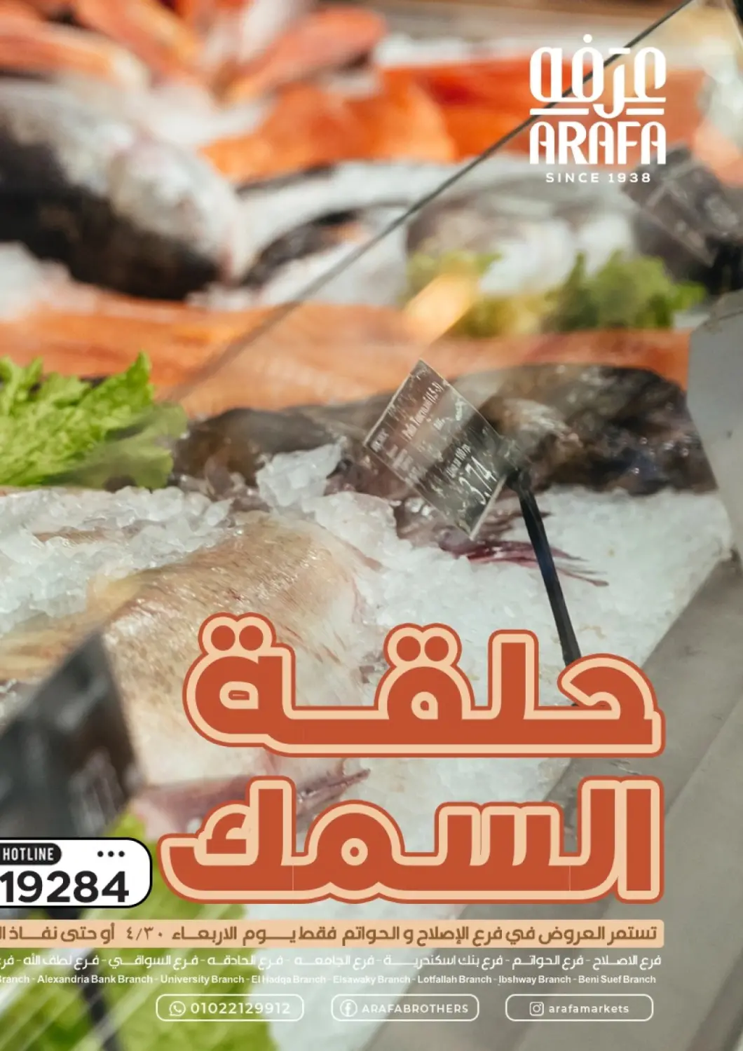 Egypt - Cairo Arafa Market offers in D4D Online. Special Offer. . Only On 30th April