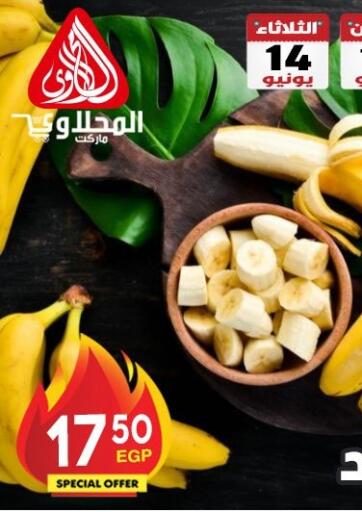 Egypt - Cairo El Mahallawy Market  offers in D4D Online. Special Offer. . Till 14th June