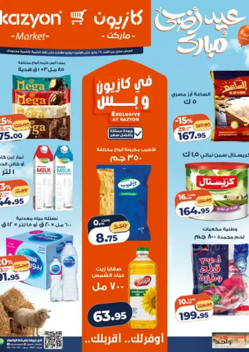 Special Offer