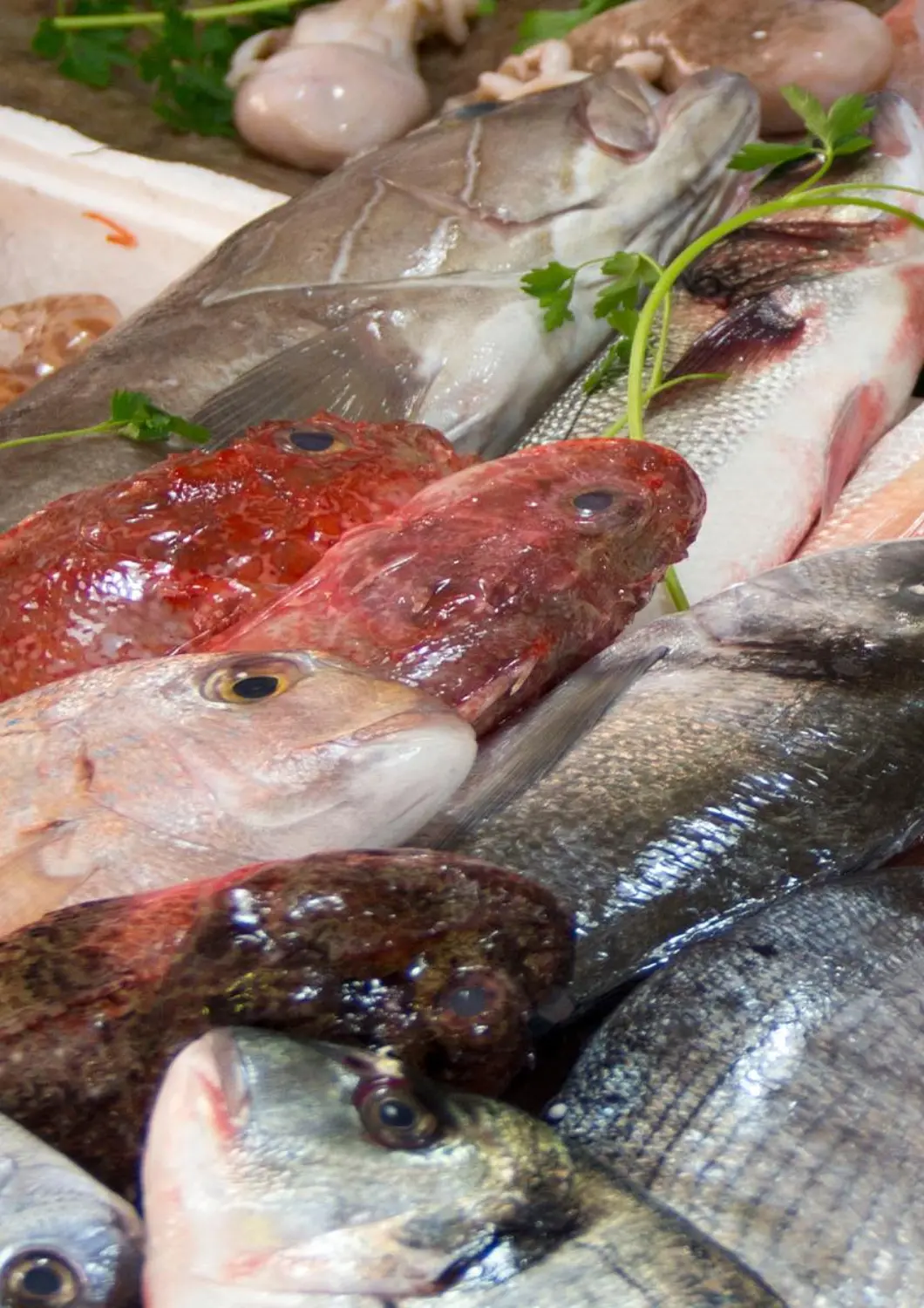 Egypt - Cairo Arafa Market offers in D4D Online. Special Offer. . Only On 9th April
