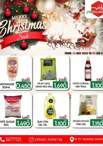 Merry Christmas Sale