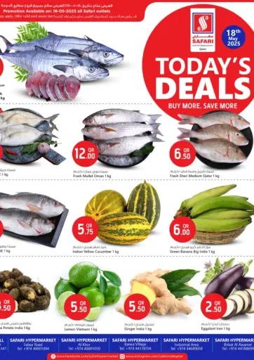 سفاري هايبر ماركت - عروض اليوم in قطر Offers - قطر عروض اليوم