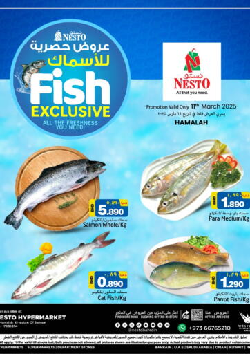 عروض نستو البحرين في دي٤دي أونلاين. عروض حصرية للأسماك. . Only On 11th March