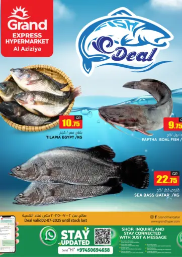 عروض الأسماك