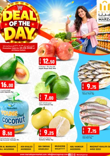 Deal OF the Day