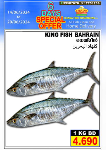 Bahrain Shada Fish offers in D4D Online. Special Offer. . Till 20th June