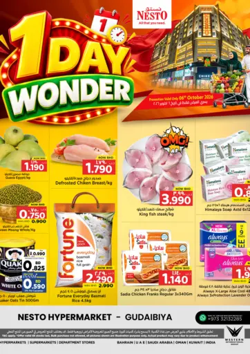1 Day Wonder
