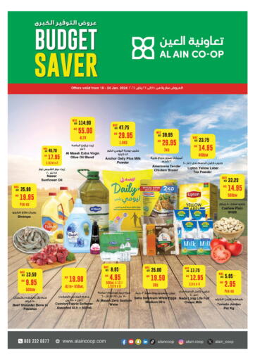 UAE - Abu Dhabi Al-Ain Co-op Society offers in D4D Online. Budget Saver. . Till 24th January
