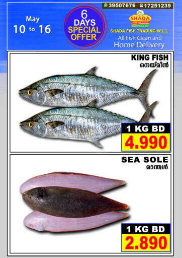 Bahrain Shada Fish offers in D4D Online. 6 Days Special Offer. . Till 16th May