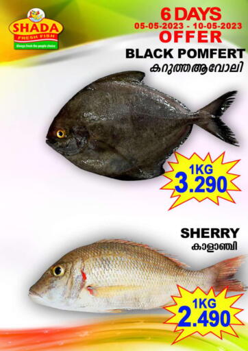 Bahrain Shada Fish offers in D4D Online. 6 Days Offer. . Till 10th May