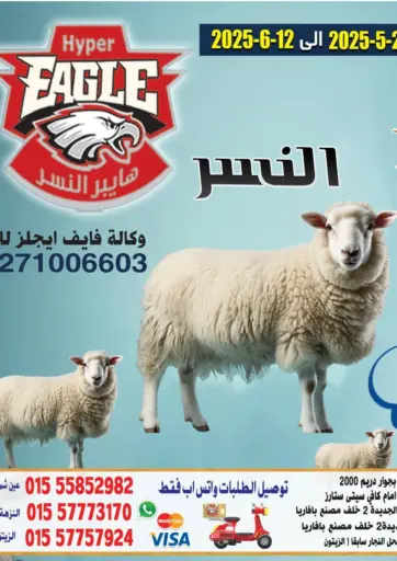 Hyper Eagle - Eid Mubarak in Egypt Offers - Egypt Eid Mubarak