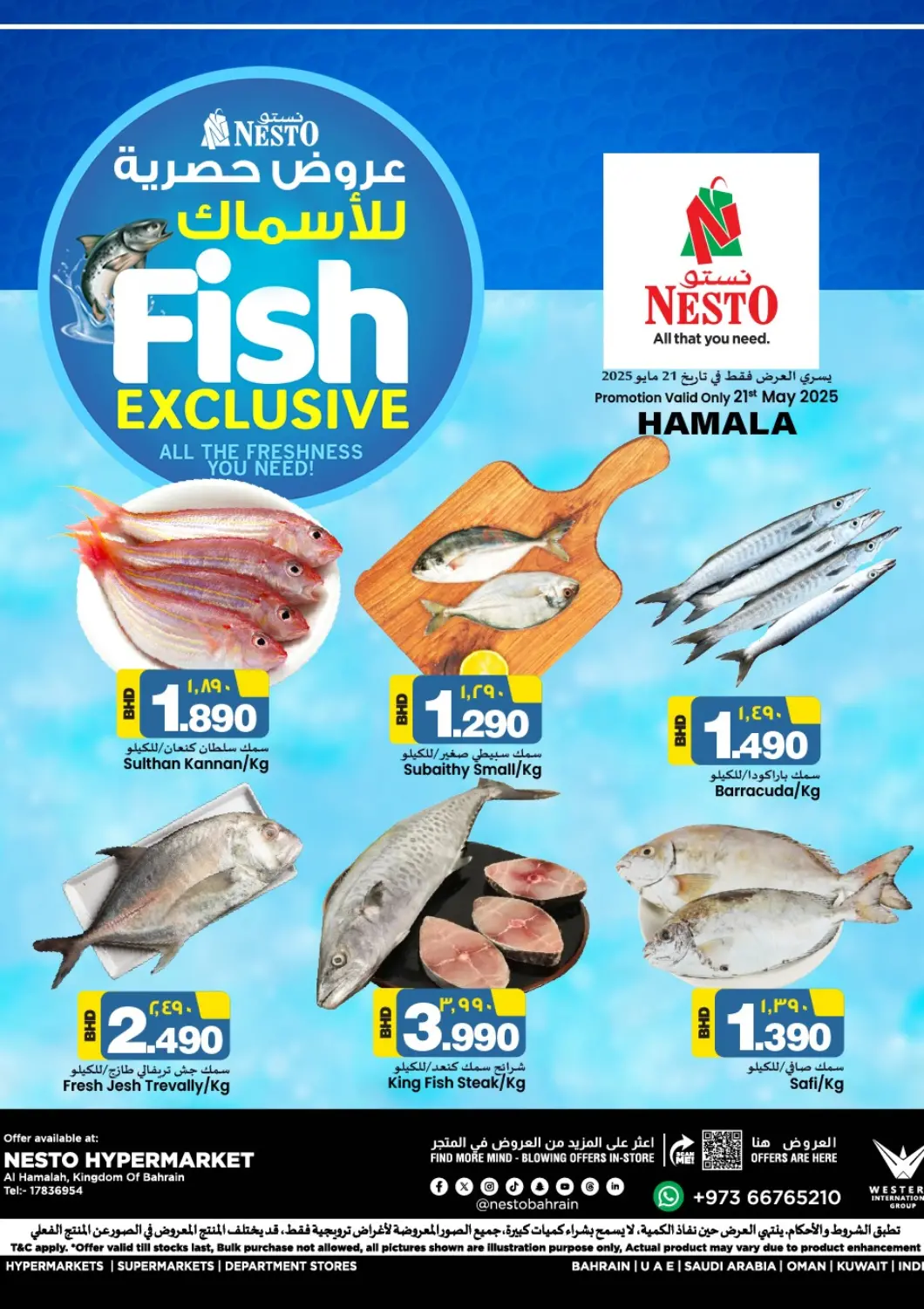 Bahrain NESTO  offers in D4D Online. Fish Exclusive. . Only On 21st May
