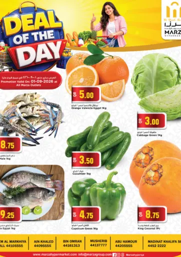 Deal Of The Day