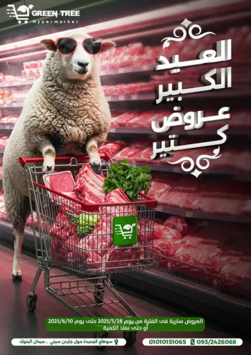 Green Tree Hypermarket - Sohag - Special offer in Egypt Offers - Egypt Special offer