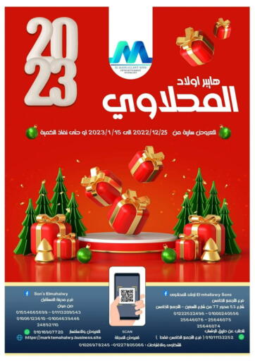 Egypt - Cairo El mhallawy Sons offers in D4D Online. Special Offer. . Till 15th January
