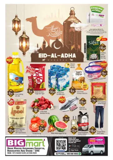 بيج مارت - بدع زايد، أبو ظبي in UAE Offers - الإمارات العربية المتحدة بدع زايد، أبو ظبي