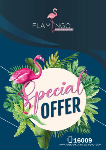 Egypt - Cairo Flamingo Hyper Market offers in D4D Online. Special Offer. . Till 5th March