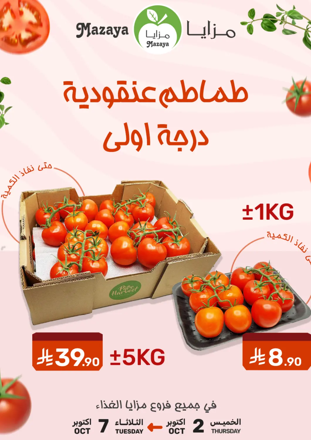 KSA, Saudi Arabia, Saudi - Qatif Mazaya offers in D4D Online. Tomato Offer. . Till 7th October