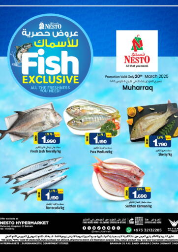 عروض نستو البحرين في دي٤دي أونلاين. عروض حصرية للأسماك. . Only On 20th March