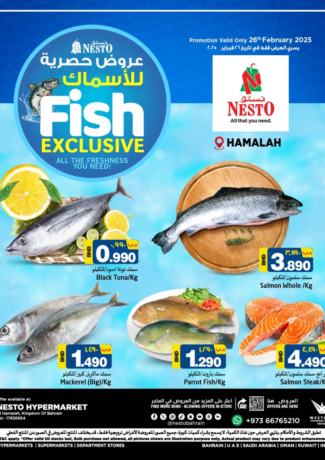 Bahrain NESTO  offers in D4D Online. Fish Exclusive. . Only On 26th February