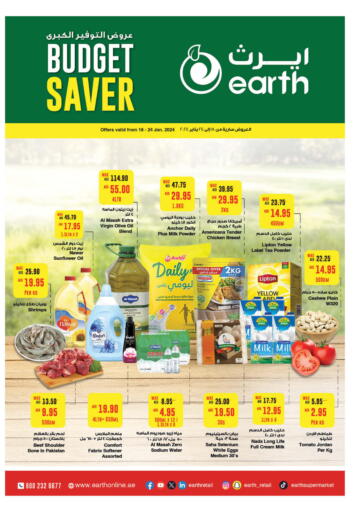 UAE - Dubai Earth Supermarket offers in D4D Online. Budget Saver. . Till 24th January