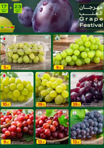 Grape Festival