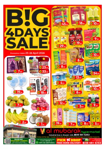 Big 4 Days Sale