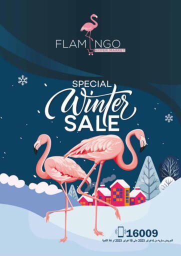 Egypt - Cairo Flamingo Hyper Market offers in D4D Online. Winter Sale. . Till 16th February